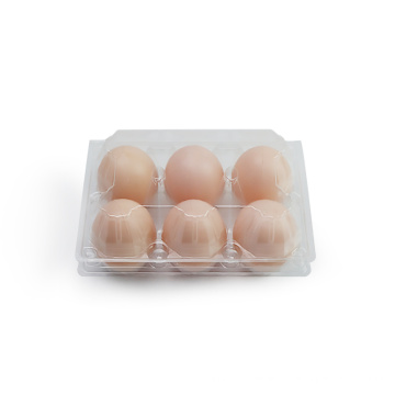 Plastic chicken egg carton packaging Wholesale 6 holes plastic blister egg tray packaging